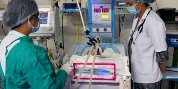Una bebé recién nacida fue enterrada viva y el motivo podría haber sido su género: “Vi una pequeña mano sobresaliendo de la tierra”
