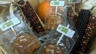 Ditmars Orchard and Vineyard hosts annual Pumpkin Festival