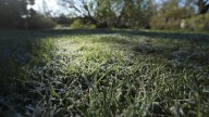 When is first frost season in Monroe County?