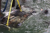 Man who drove off Santa Cruz Wharf was registered sex offender who’d been out of prison 10 years