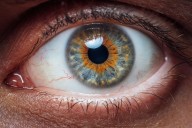 Participan 5 países. Con un chip ocular y unos anteojos devuelven la visión a pacientes con degeneración macular