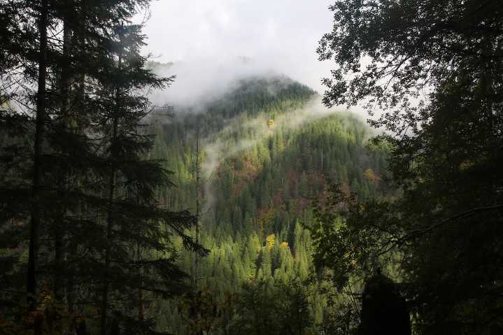 Oregon ranked 8th best state for hiking by clothing brand that’s scared off by the rain