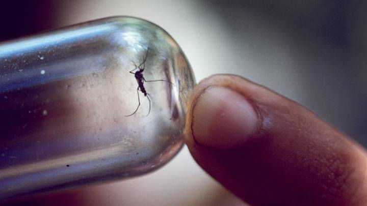 Alerta de la OMS por un virus mortal que pone en riesgo a estos países en Latinoamérica; hay 94 casos importados en Estados Unidos