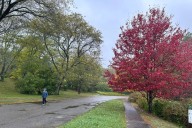 Mass. weather: Busy autumn weekend to see sunny skies, but this is when rain is likely