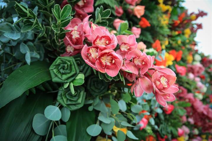 Destacan crecimiento exponencial del sector de flores de Guatemala