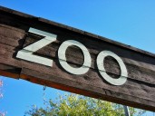 Columbus Zoo welcomes 2nd Asian elephant calf this year