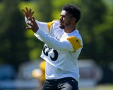 Pittsburgh Steelers sign preseason star wide receiver