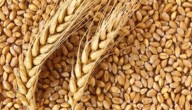 Cabinet Approves Hike In MSP For Rabi Crops