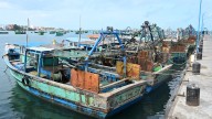 Sri Lankan Navy detains 30 Indian fishermen from Rameswaram, seizes trawlers