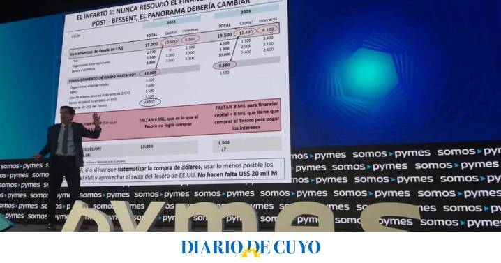 Carlos Melconian: “El mercado cambiario está con pulmotores”