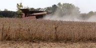 Temperatures normal across Iowa, but conditions dry as harvest season wanes