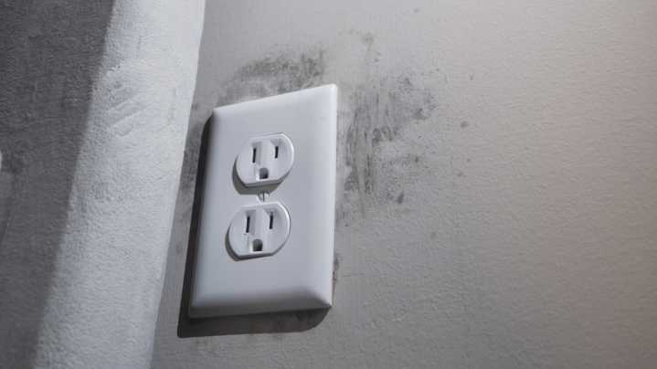 Renters and landlord disagree over Fairdale apartment mold problem