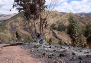 Lluvia permitió controlar incendio forestal en el Valle Sagrado de Los Incas