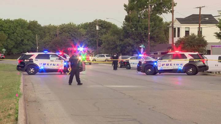 Dallas police find three dead after report of shooting