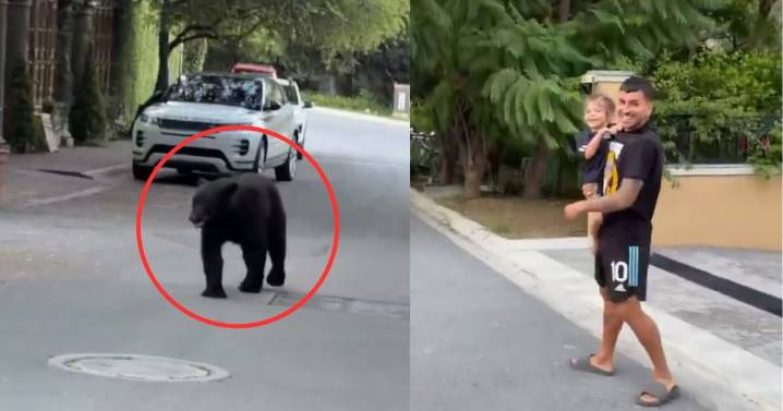 Video: Así fue la reacción de Ángel Correa al enfrentar a un oso afuera de su casa