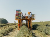 Lethbridge flourishes as a hub for Alberta’s artisanal food producers