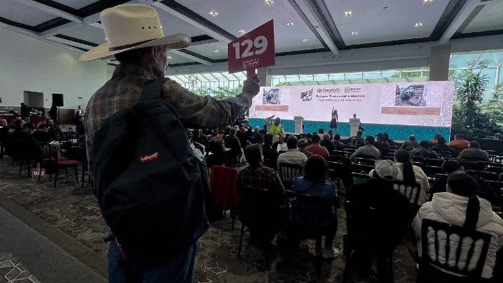 La adrenalina del martillo: sudor, billetes y obsesión en la subasta del Indep