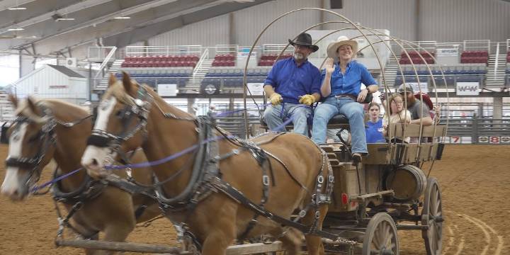 ‘Day of the Horse’ wraps up opening weekend of Brazos Valley Fair & Rodeo