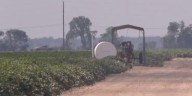 Missouri farmers navigate tumultuous economy