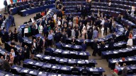 22 parlamentarios europeos pidieron que el régimen de Cuba sea clasificado como un Estado patrocinador del terrorismo