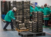 La Rioja resta 300 personas de las listas del paro