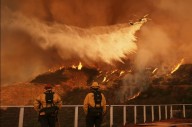 15 Million in India Hit by 2024-25 Wildfires, UP Worst Affected
