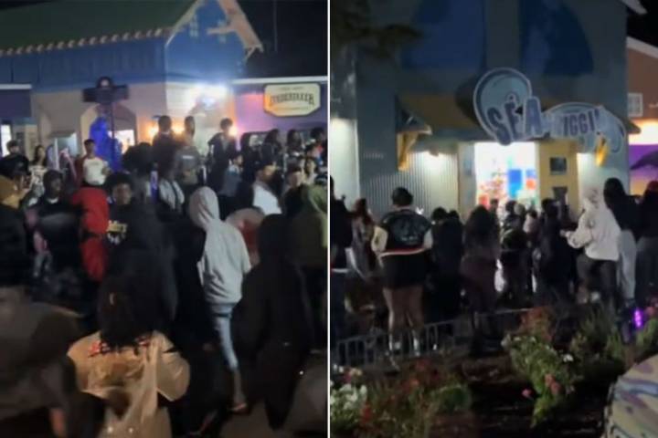 Brawl Breaks Out Between Young Guests at Six Flags Park