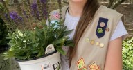 Good 2 Grow: Girl Scouts, gardens and pollinators