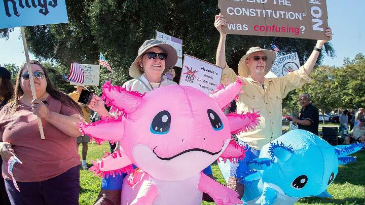 Psychotherapist calls 'No Kings' protests group therapy in streets