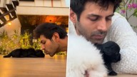 Agency News Kartik Aaryan Adds New Member ‘Chatori’ to His Family This Diwali, Introduces Katori’s Little Sister on Instagram (See Pics and Video)