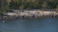 New Hampshire rivers, streams see historically low water levels as drought continues