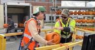 Welcome to Laconia Pumpkin Festival: More than 900 jack-o-lanterns to light up Saturday event