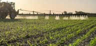 Genetista pide rechazar ley que reduce límites de agroquímicos