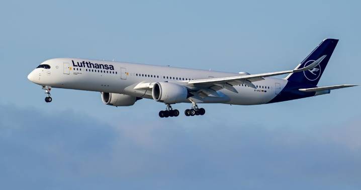 Man accused of stabbing 2 teens with metal fork on flight from Chicago to Germany