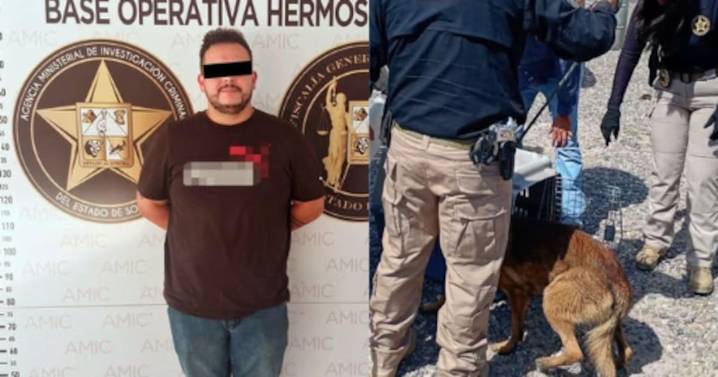 Horror en hotel canino de Hermosillo: vinculan a proceso al dueño por maltrato animal tras video difundido