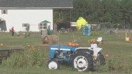 Circle D Funny Farm offers one-of-a-kind fall experience before season ends