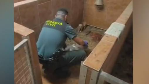 A Garda Civil localiza 250 cadáveres de animais nun criadeiro clandestino na Coruña