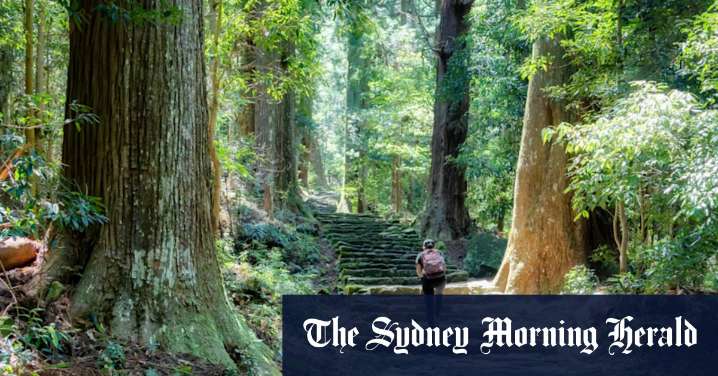 Kii Peninsula highlights: Explore Japan’s spiritual heart south of Osaka