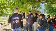 La Justicia investiga posible explotación laboral en un campo de frutillas en Arroyo Leyes