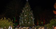 Date confirmed for Christmas light switch-on in Clifton as organisers make plea