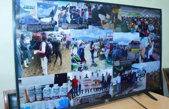 Puebla refuerza medidas contra Gusano Barrenador del Ganado con estrategia integral
