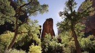 Man dies after fall while rappelling in Zion National Park canyon