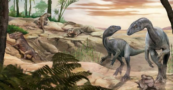 Histórico hallazgo en La Rioja: descubren un dinosaurio de cuello largo, uno de los más antiguos del mundo