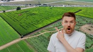 El desconocido laberinto de California que fue nombrado como el más grande del mundo y debe visitar