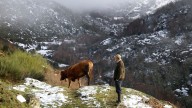 Contas lleva hasta la UE su informe sobre la despoblación en Galicia