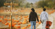 Utah Halloween Map 2025: Haunted houses, pumpkin patches and lights near you