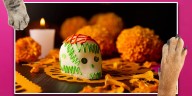 ¿Cuándo se coloca la ofrenda para las mascotas y qué elementos debe llevar, según la tradición mexicana?