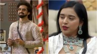 Bigg Boss 19: Tanya Mittal's cheap mentality exposed after kiss question to Amaal Mallik?