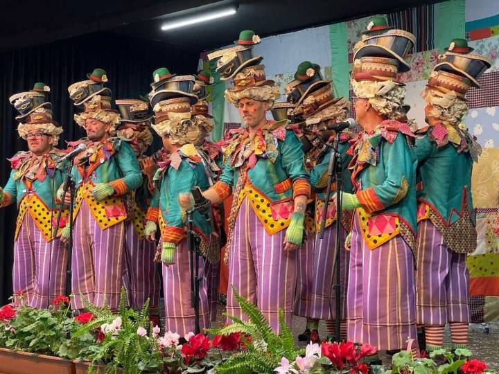 Rota podrá solicitar actuaciones del programa Carnaval 2026 de la Diputación de Cádiz