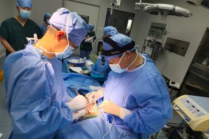 Cirujanos chinos logran trasplante de hígado de cerdo a humano que sobrevivió seis meses